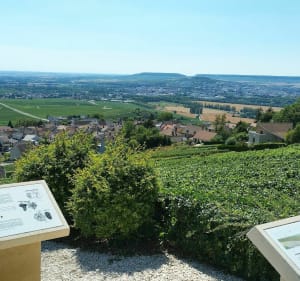 Les villages du champagne - Cumières - 3