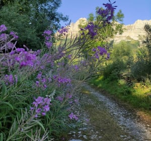 Menil-toren - Gresse en Vercors - 3