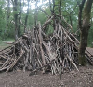 Ontdek Benon, zijn dorp en zijn prachtige bos! - Benon - 3