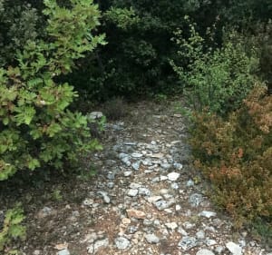 Belle promenade sur les hauteurs de Montsalier - Montsalier - 3