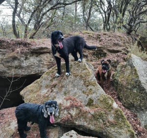 Zandgrottenwandeling - Piolenc - 3
