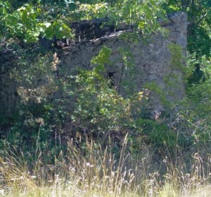 Les hauteurs de Lemps - Roiffieux - 3