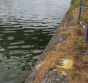 Etangs fédéral des Ballastières aire sur la Lys - LAURENT - 3