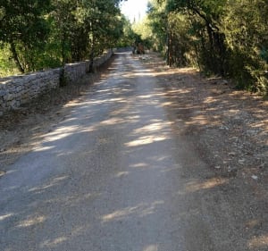 Marche de soirée dans les Cévennes - Ferrières-les-Verreries - 5