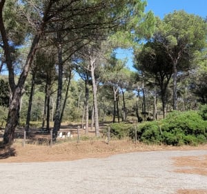 Fietsen Janas Forest/Cap Sicié - Saint-Mandrier-sur-Mer - 3
