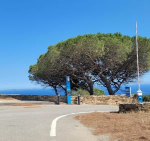 Fietsen Janas Forest/Cap Sicié - Saint-Mandrier-sur-Mer - 5