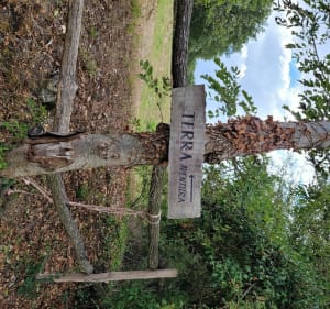 Balade au Cesbron - Saint-Loup-Lamairé - 3
