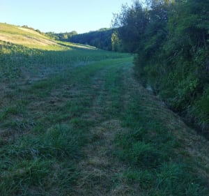 Balade à travers champs à Montvalen - Montvalen - 5