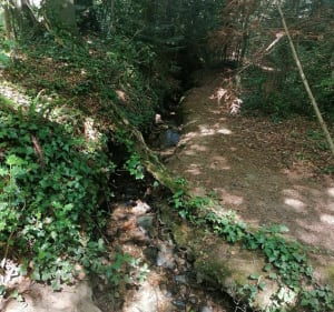 Balade de Trorozec - Lannion - 3