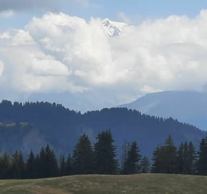 Wandeling toegankelijk voor iedereen, startend vanaf de Col des Aravis - La Clusaz - 3