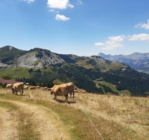 Boucle vers le col du Very depuis le Leutaz - Megève - 4