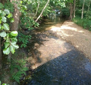 Belle balade au milieu de la campagne - Tanconville - 4