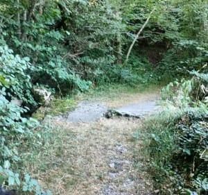 Sentier botanique de St Etienne de Chomeil au départ bourg - Saint-Étienne-de-Chomeil - 3