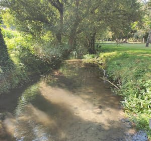 Les Eaux Claires de Gigt à Charsé - Puymoyen - 3