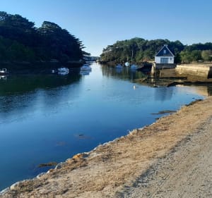 Entre terre et mer à Carnac - Carnac - 3