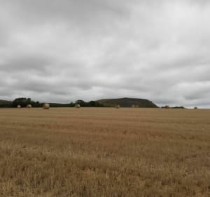 A travers les champs Burbure Allouagne Auchel - Auchel - 5