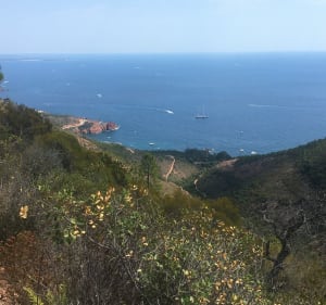 Le Pic de l’Ours et sa Dent - Saint-Raphaël - 4