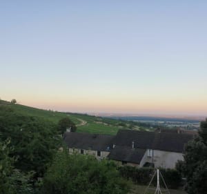 Promenade sur la Chaume et retour par Russilly - Givry - 5
