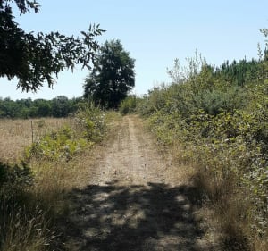 Balade au calme autour de Milhac - Bassillac et Auberoche - 4