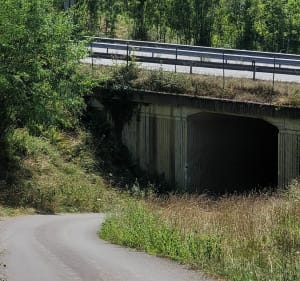 Le Bois de Rebisclou - Barbazan-Debat - 3