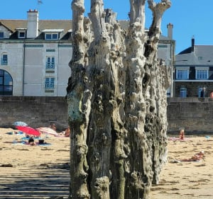 Saint Malo, de Grand Bé en de wallen - Saint-Malo - 5