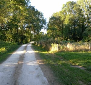 Prachtige lus in Savigny-en-Septaine - Savigny-en-Septaine - 3
