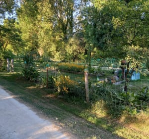 Prachtige lus in Savigny-en-Septaine - Savigny-en-Septaine - 4