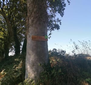 La balade de Rospez par Saint-André - Rospez - 3