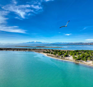 Boucle de Port Leucate, par la Franqui et le château de Leucate - Leucate - 3