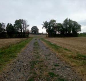 Rando Sens sur Seille -Bosjean par les plaines - Sens-sur-Seille - 4
