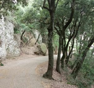 Gravir les sommets de Montserrat - Monestir de Montserrat - 4