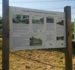 Belle balade dans la forêt du belvédère à Chamarande - Chamarande - 4