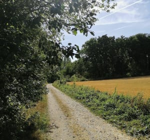 Balade à partir de Clermont de l'Oise - Clermont - 4