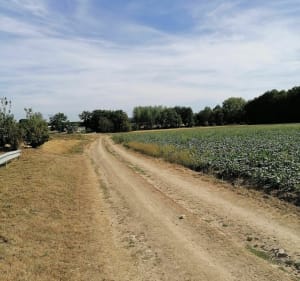 Balade à partir de Clermont de l'Oise - Clermont - 5