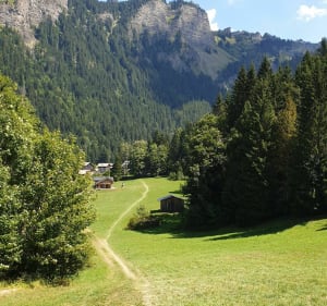 Alpages de Morzinette par les Sutes - Morzine - 4