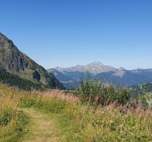 Alpages de Morzinette par les Sutes - Morzine - 5