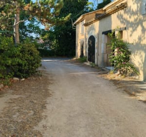 Entre vignes et oliviers à Saint-Pargeoire - Saint-Pargoire - 5