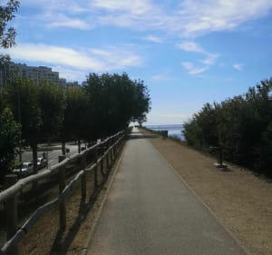 Petit parcours en réserve naturelle de Rosas - Empuriabrava - 4