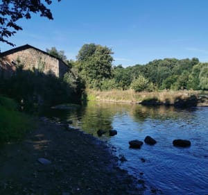 Balade au fil de l'eau le long de la Vienne - Panazol - 3