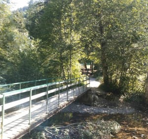 Tour de Vallon par le bout de la chèvrerie - Nancy - 4