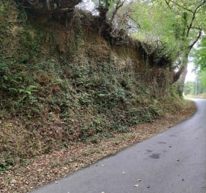 Ballade dans les champs et sous les bois à Hagetaubin - Hagetaubin - 3