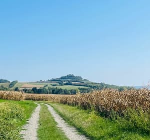 Balade entre monuments et nature - Maringues - 4