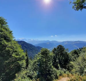 La Tête du Torraz depuis Reon d'en haut - Praz-sur-Arly - 4