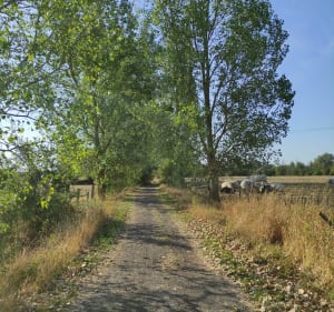 Balade à VTT au coeur des Weppes pour tous! - Radinghem-en-Weppes - 3
