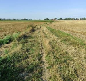 Balade à VTT au coeur des Weppes pour tous! - Radinghem-en-Weppes - 4