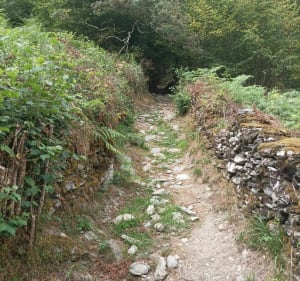 Wandeling vanuit Gêtre, op de hoogten van Laruns - Laruns - 4