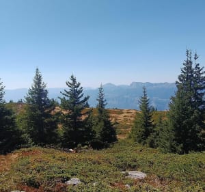 Randonnée au Grand Rocher - Le Haut-Bréda - 3