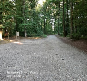 Balade en forêt du parc Saint-Quentin - Daniel - 5