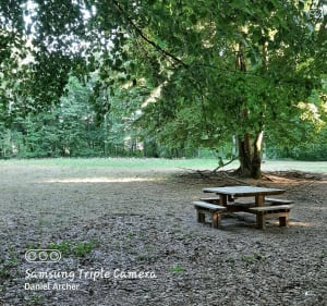 Balade en forêt du parc Saint-Quentin - Daniel - 4