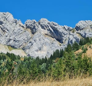 Le col vert à Villard de Lans - Villard-de-Lans - 4